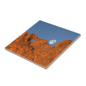 満月キスをするのラクダ岩の形成 タイル (側面)