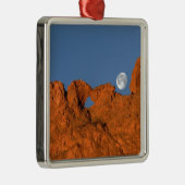 満月キスをするのラクダ岩の形成 メタルオーナメント (右)