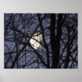 満月シーン ポスター