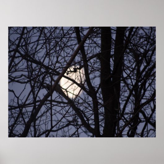 満月シーン ポスター (正面)