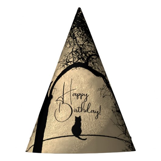 満月ハッピーワイヤーに包まれた猫 パーティーハット (正面)