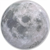 満月14インチ平方スキンシール シール (正面)