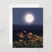 満月2 ポストカード (正面/裏面)
