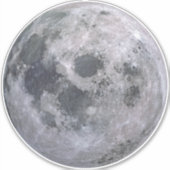 満月8インチSq.スキンシール シール (正面)