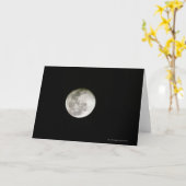 満月 カード (黄色い花)