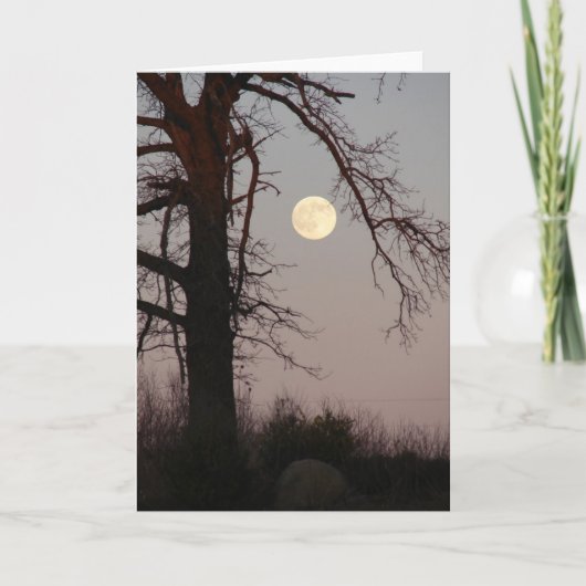 満月 カード (正面)