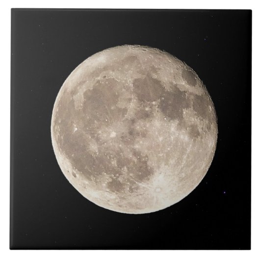 満月 タイル (正面)