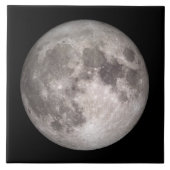 満月 タイル (正面)