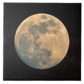 満月 タイル (正面)
