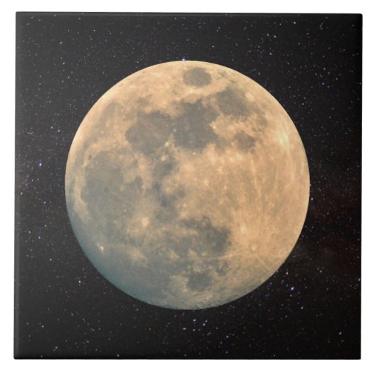 満月 タイル (正面)