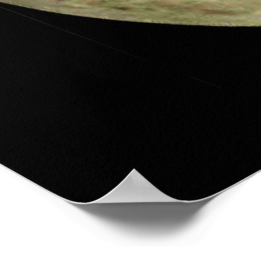 満月 ポスター (角)