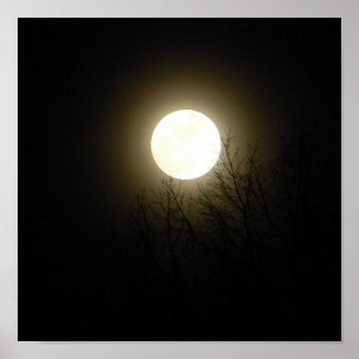 満月 ポスター
