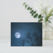 満月 ポストカード (スタンド正面)