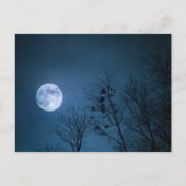 満月 ポストカード (正面)