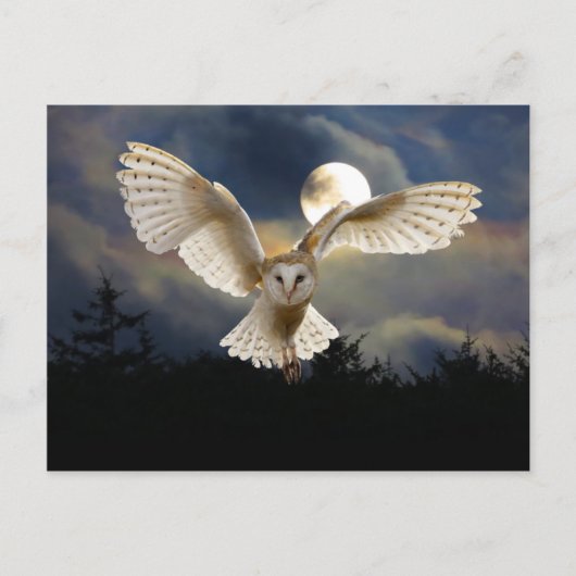 「満月」 ポストカード (正面)