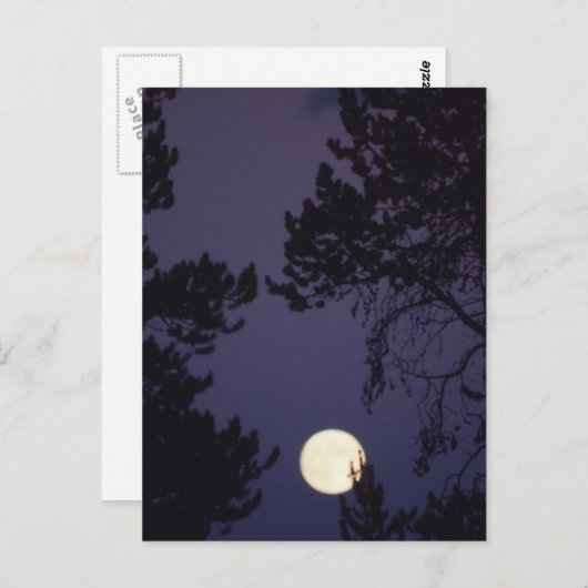 満月 ポストカード (正面/裏面)
