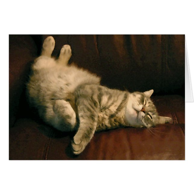 満足そうな子猫 (正面横)