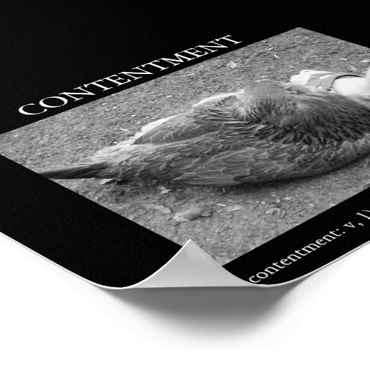 満足 ポスター (角)