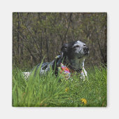 満足 マグネット (正面)