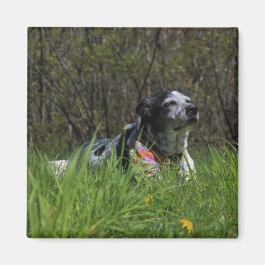 満足 マグネット (正面)