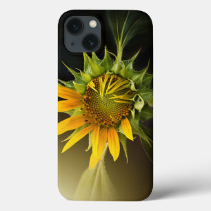 満開のヒマワリの入り口 iPhone 13ケース