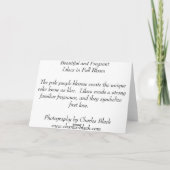 満開のライラック カード (裏面)