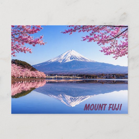 満開の桜に囲まれた富士山 ポストカード (正面)