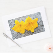 満開の黄色い白花開花 長方形シール (封筒)