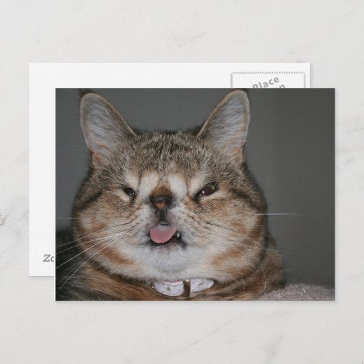 準はがき ポストカード (正面/裏面)