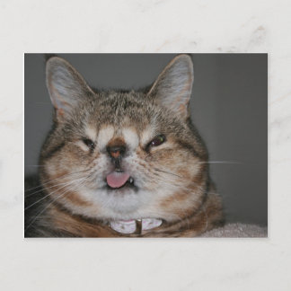 準はがき ポストカード