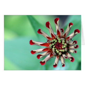 準備ができて！