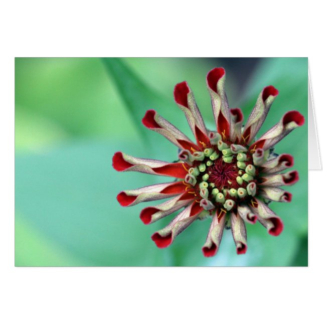 準備ができて！ (正面横)