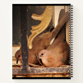 準備用ノートブック ノートブック (裏面)