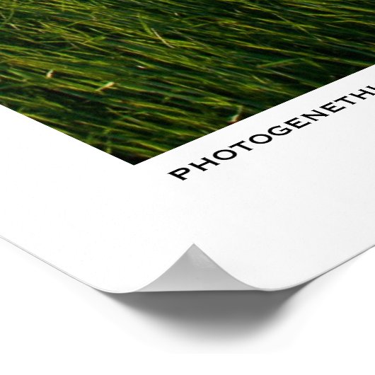 準備 ポスター (角)