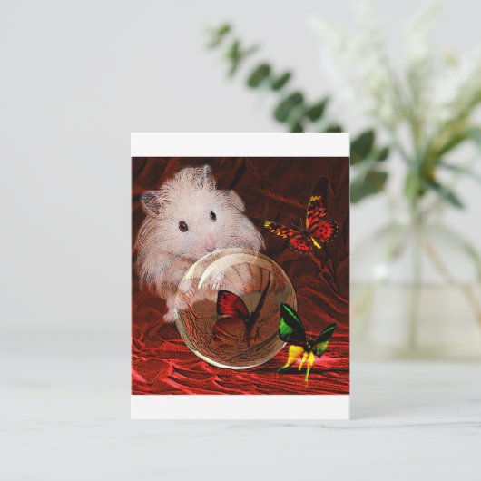 準則 ポストカード (スタンド正面)