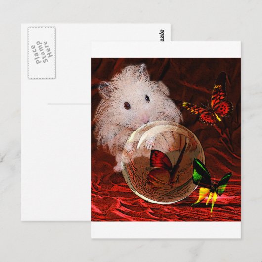 準則 ポストカード (正面/裏面)