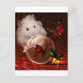 準則 ポストカード (正面)