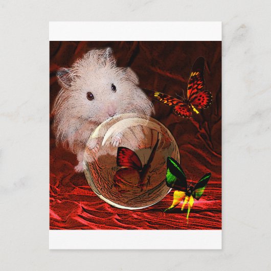 準則 ポストカード (正面)