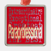 準専門外の メタルオーナメント (正面)