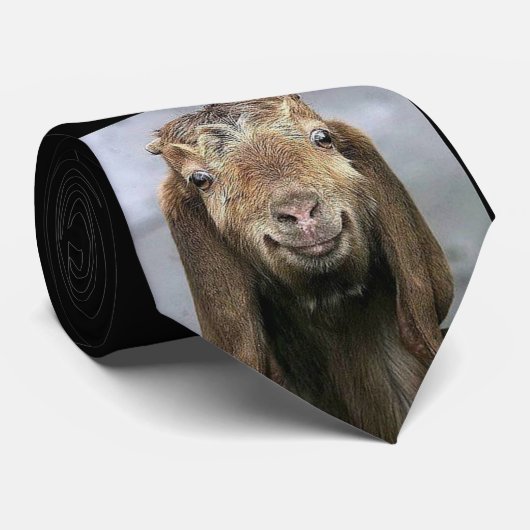 準正装古いヤギのタイ- ネクタイ (ロール)