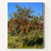 溝りんご手帳 ノートブック (裏面)