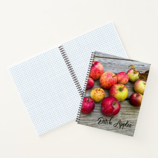 溝りんご ノートブック (内部)