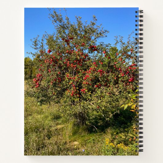 溝りんご ノートブック (裏面)