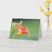 溝リリー カード (黄色い花)