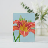 溝リリー ポストカード (スタンド正面)