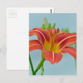 溝リリー ポストカード (正面/裏面)