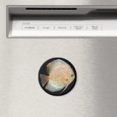 溝 マグネット (インサイチュ (食洗機))