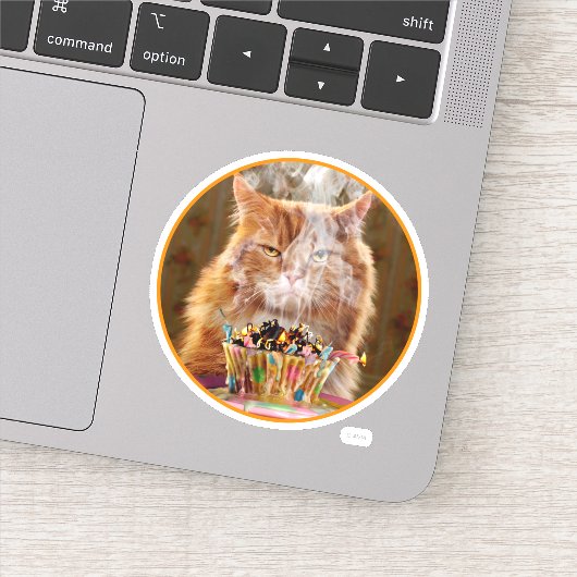 溶けおもしろいた誕生日カップケーキ付き不機嫌な猫 シール (詳細)