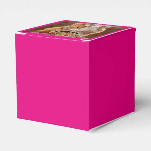 溶けおもしろいた誕生日カップケーキ付き不機嫌な猫 フェイバーボックス (正面サイド)