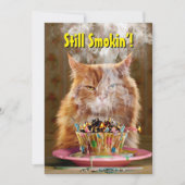 溶けた誕生日ケーキの不機嫌な猫 招待状 (正面)